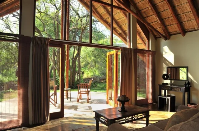 safari in africa11.jpg