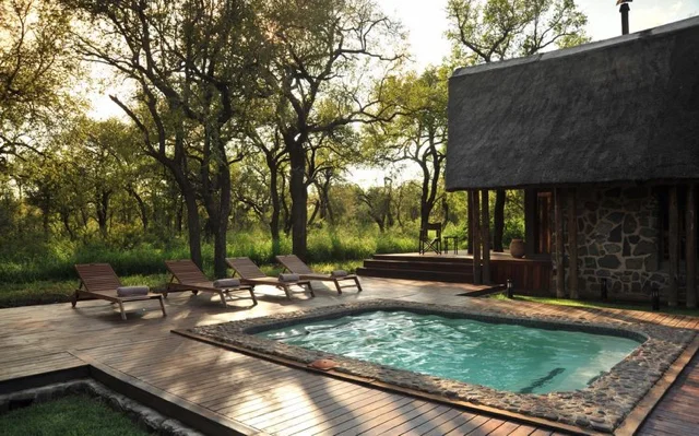 safari in africa10.jpg