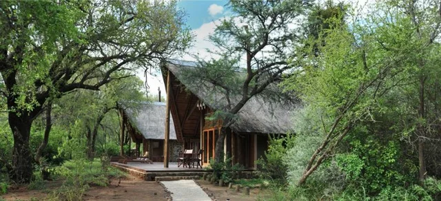 safari in africa4.jpg
