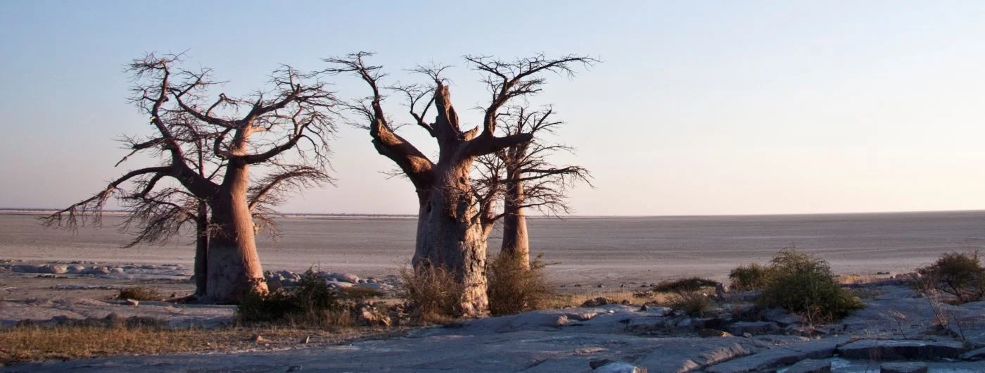safari in africa makgadikgadi 12a.jpeg