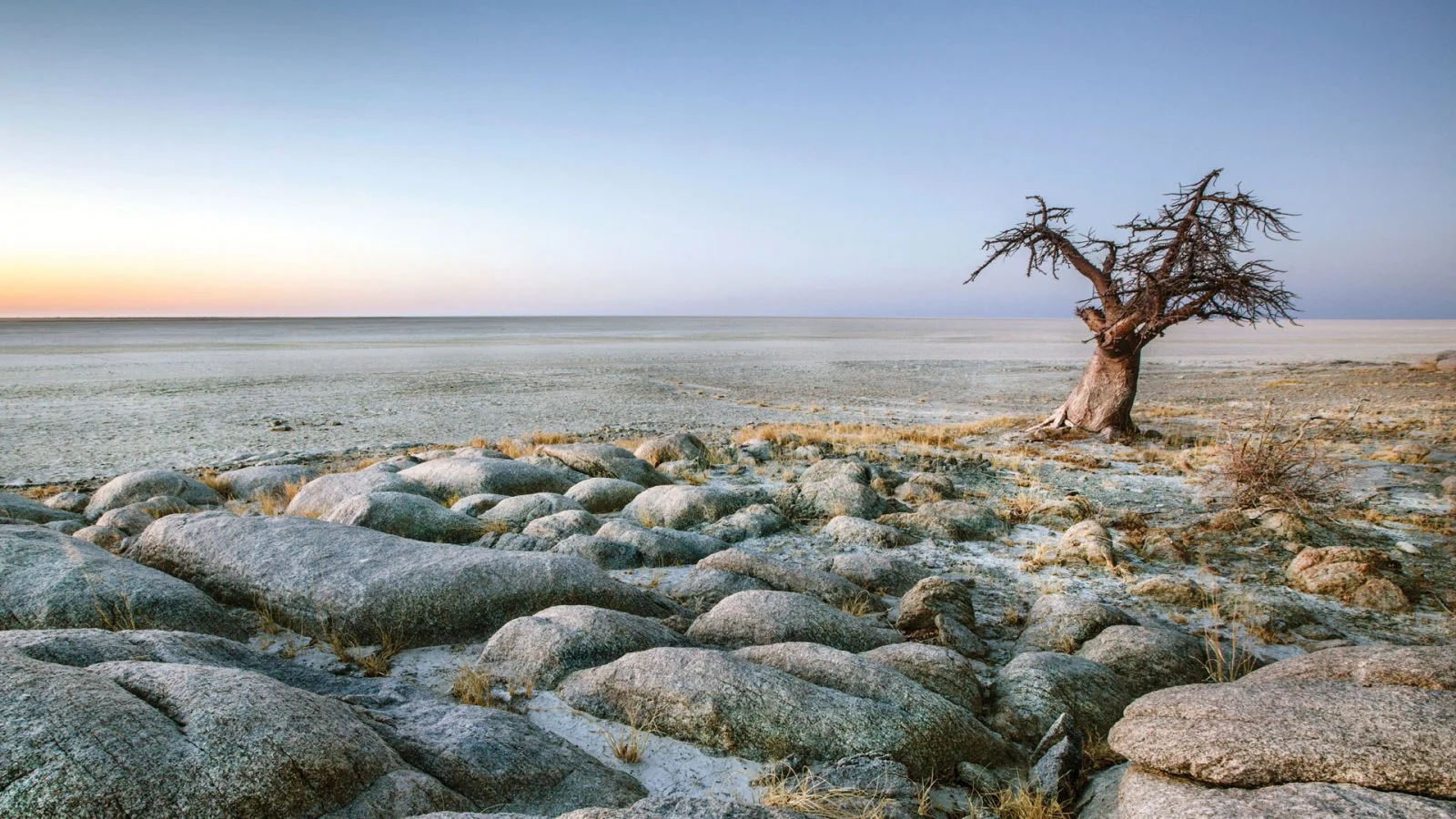 safari in africa makgadikgadi 18a.jpg