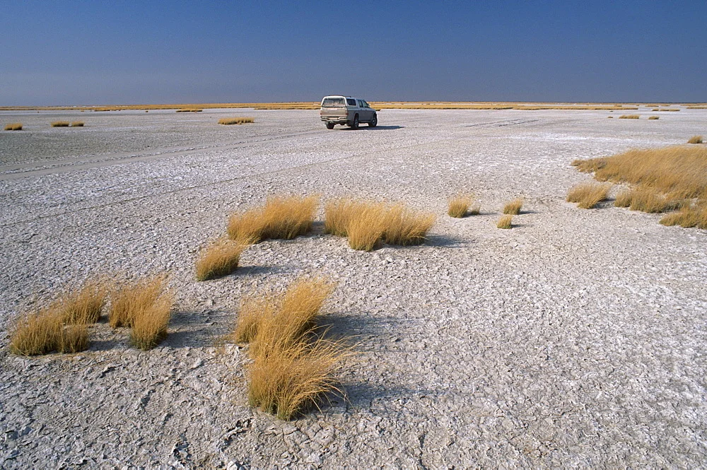 safari in africa makgadikgadi 10.jpg