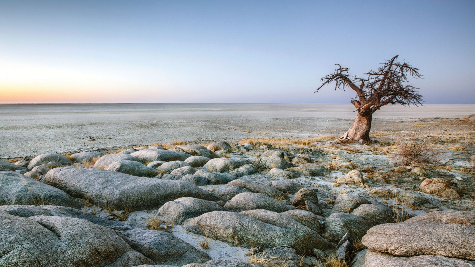 safari in africa makgadikgadi 18a.jpg