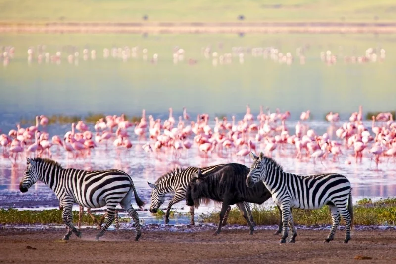 LakeManyara.jpg
