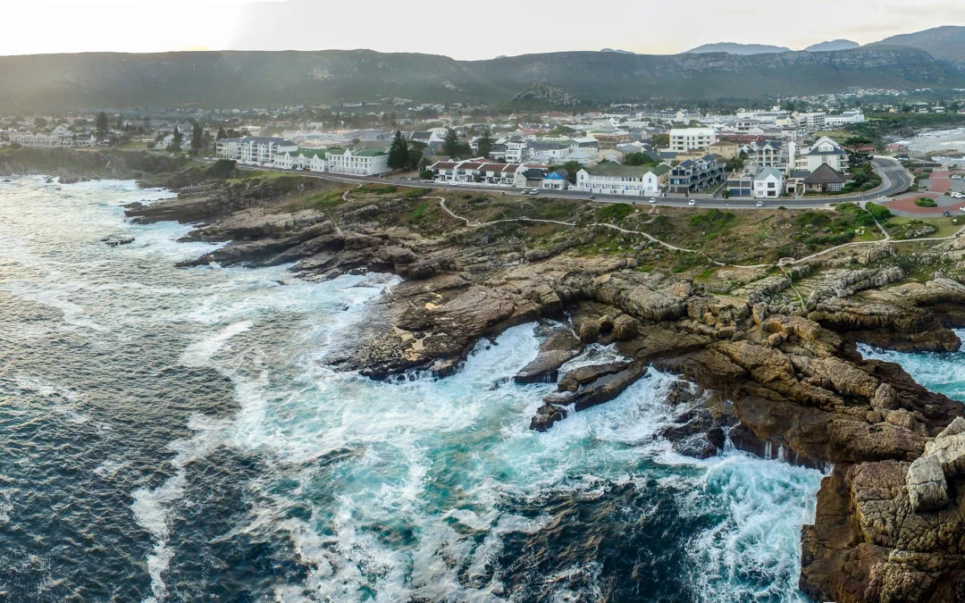 Africa photographic safaris hermanus .jpg