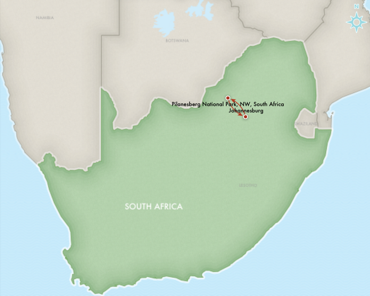 AFRICA SAFARI south africa.png