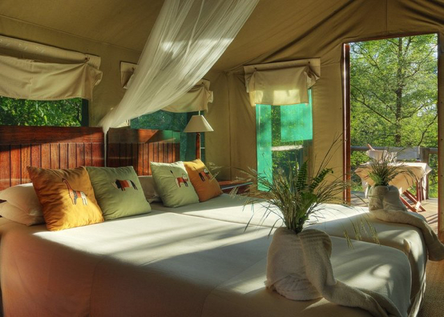 africa photo safari botswana camp22.jpg