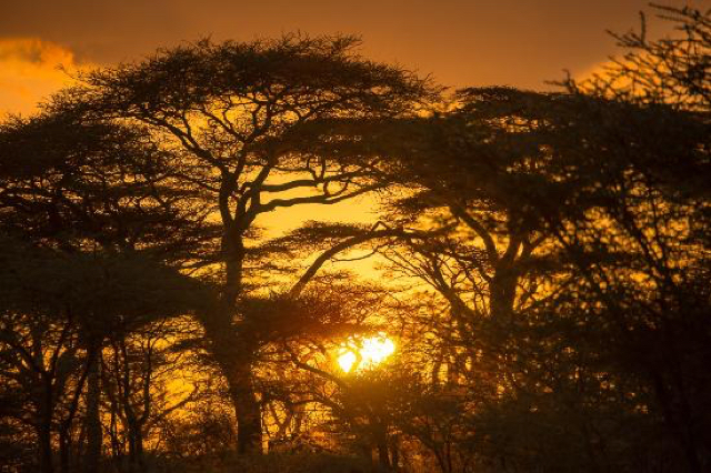africa photo safari tanzania6.jpg