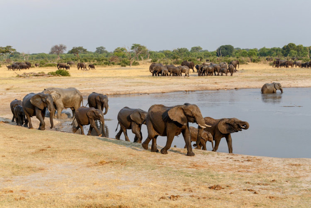 africa photo safari Zimbabwe-0114.jpg