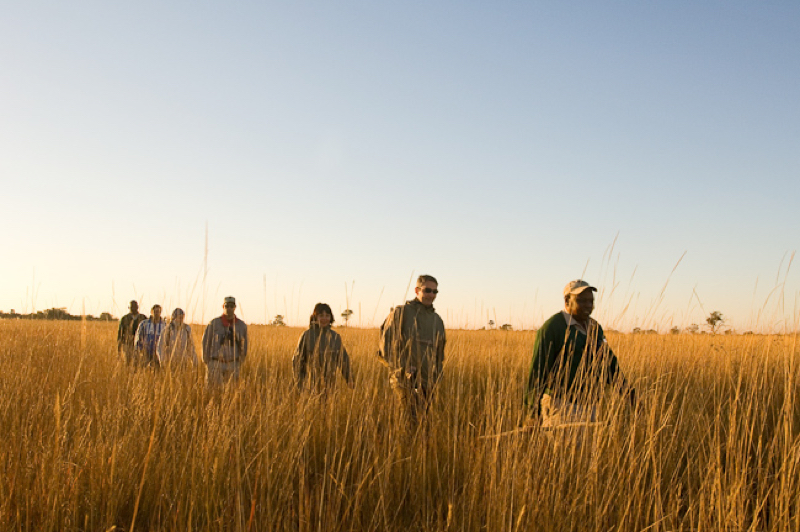 africa photo safari botswana-117.jpg