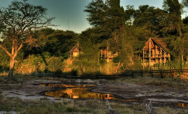 africa photo safari botswana-07G24.jpg