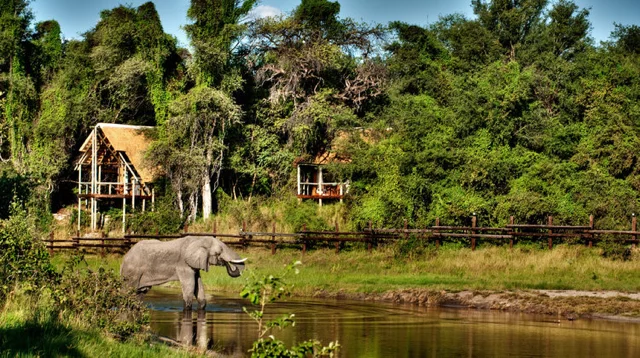 africa photo safari botswana-07G12.jpg