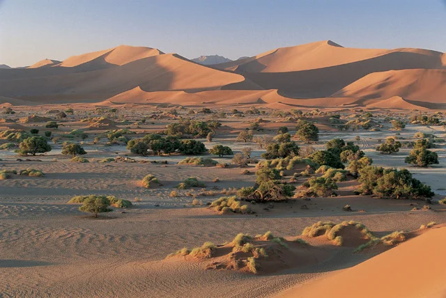 africa photo safari NAMIBIA sosusvlei200106.jpg