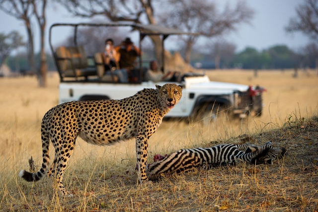 africa photo safari hwange-01116.jpg