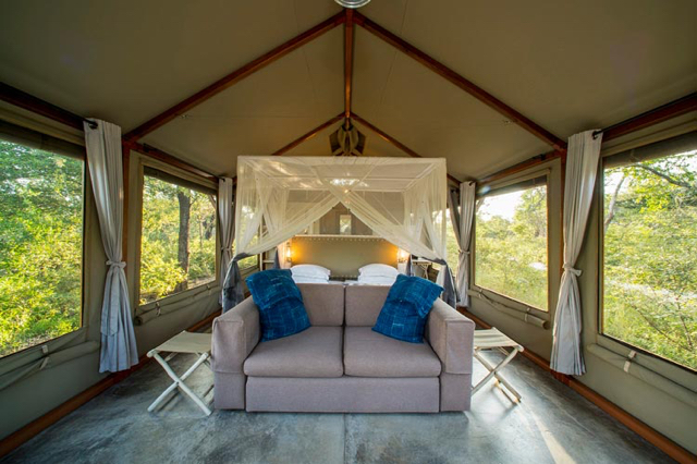 africa photo safarietosha-101.jpg