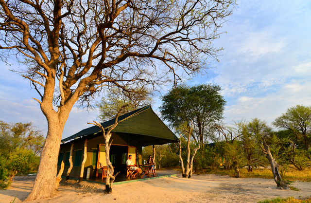 africa safari Zimbabwe20.jpg