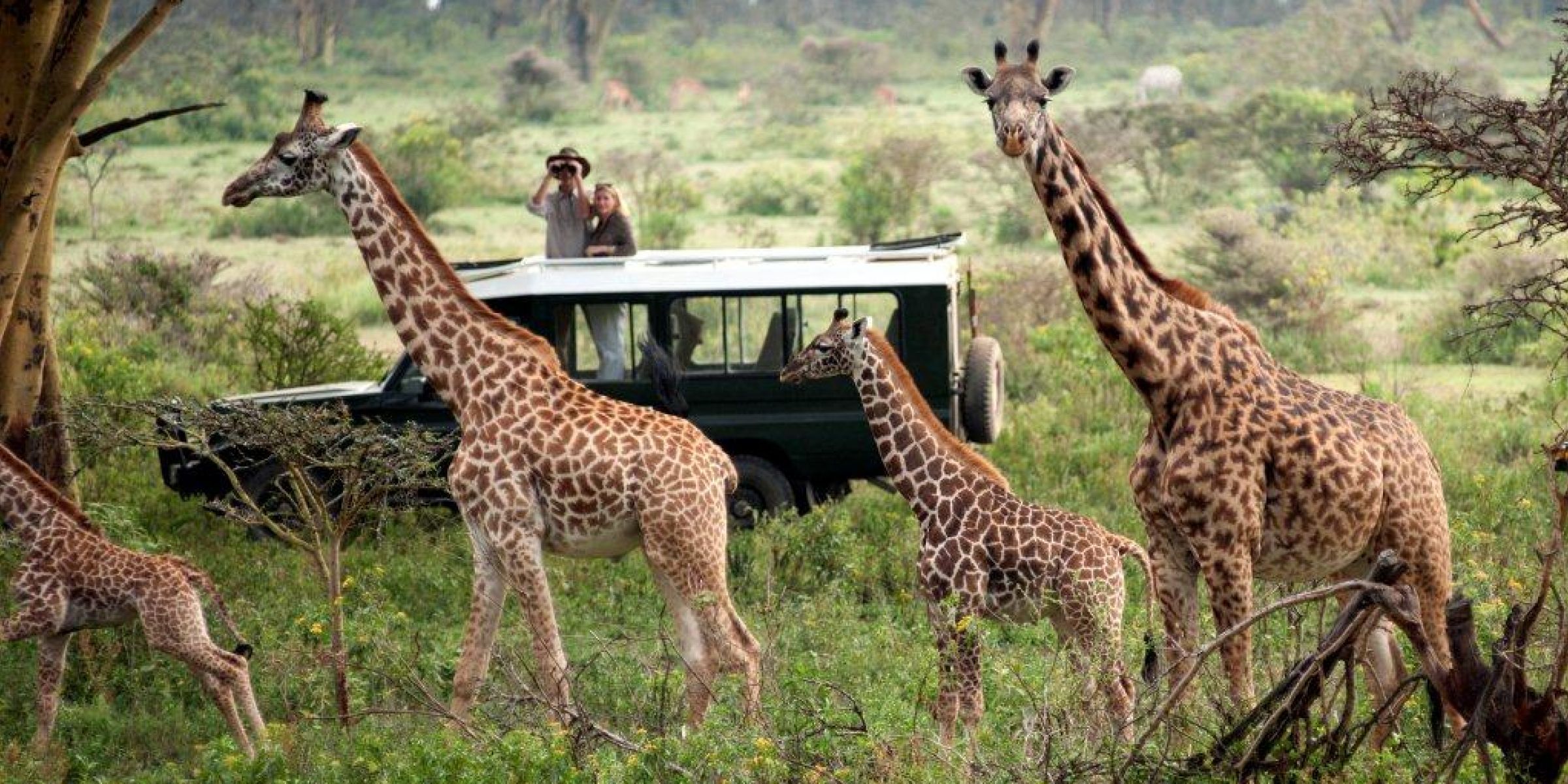 africa safari masai mara 2.jpg