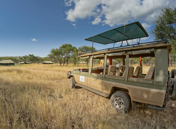 africa safari central serengeti 15.jpg