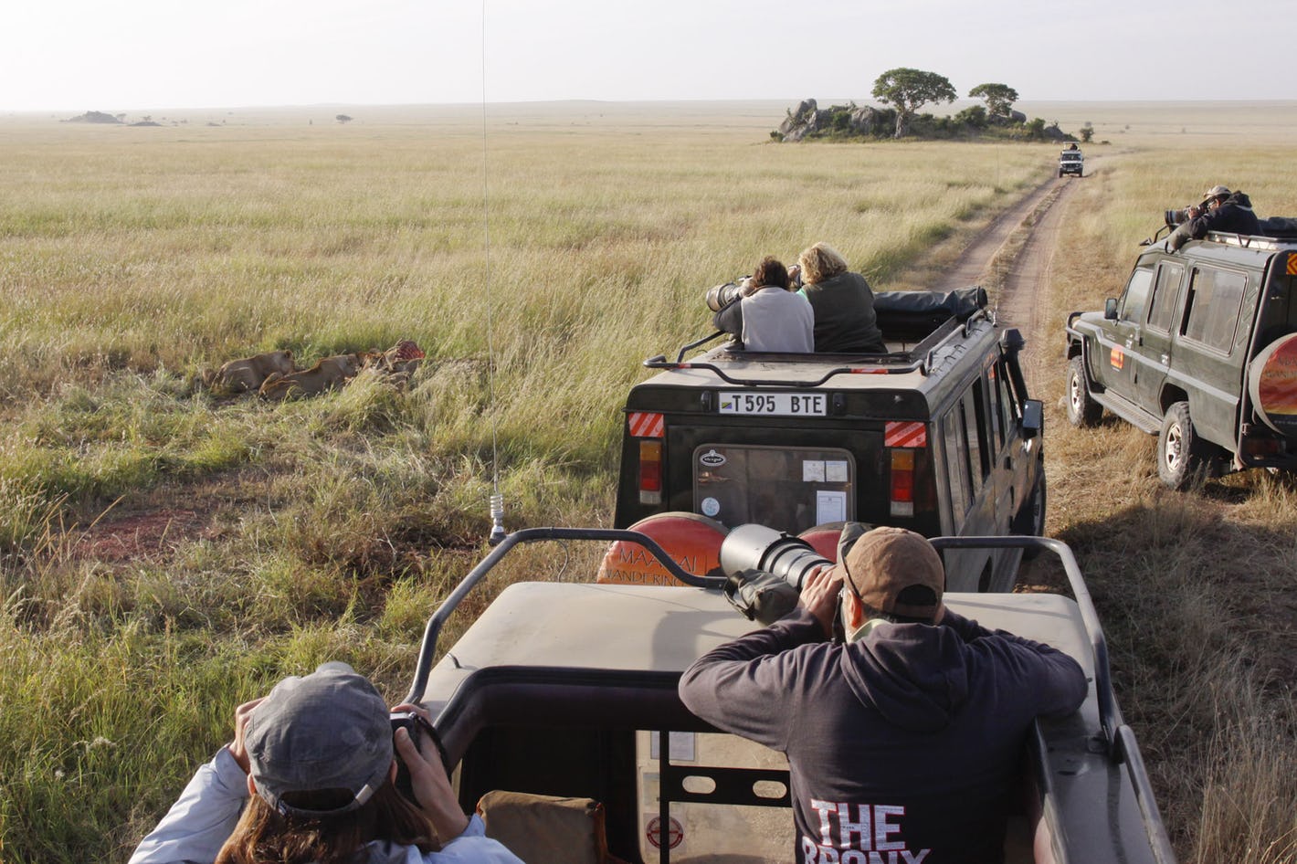 africa safari central serengeti 13.jpg