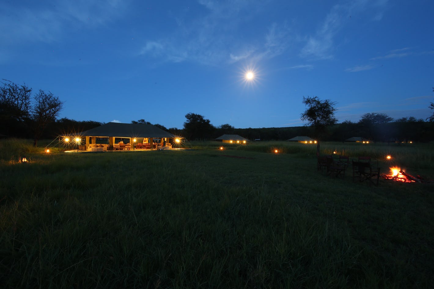 africa safari central serengeti 7.jpg