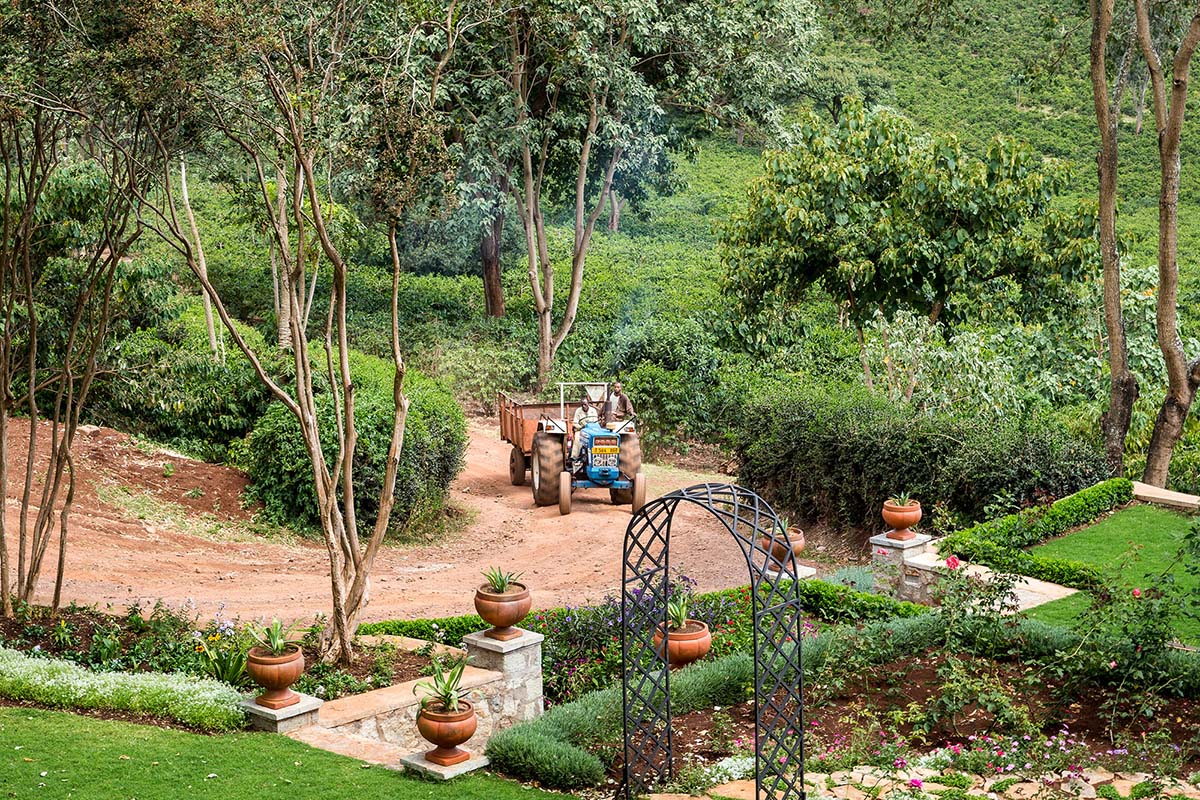 africa safari nogorogoro accomm 19.jpg