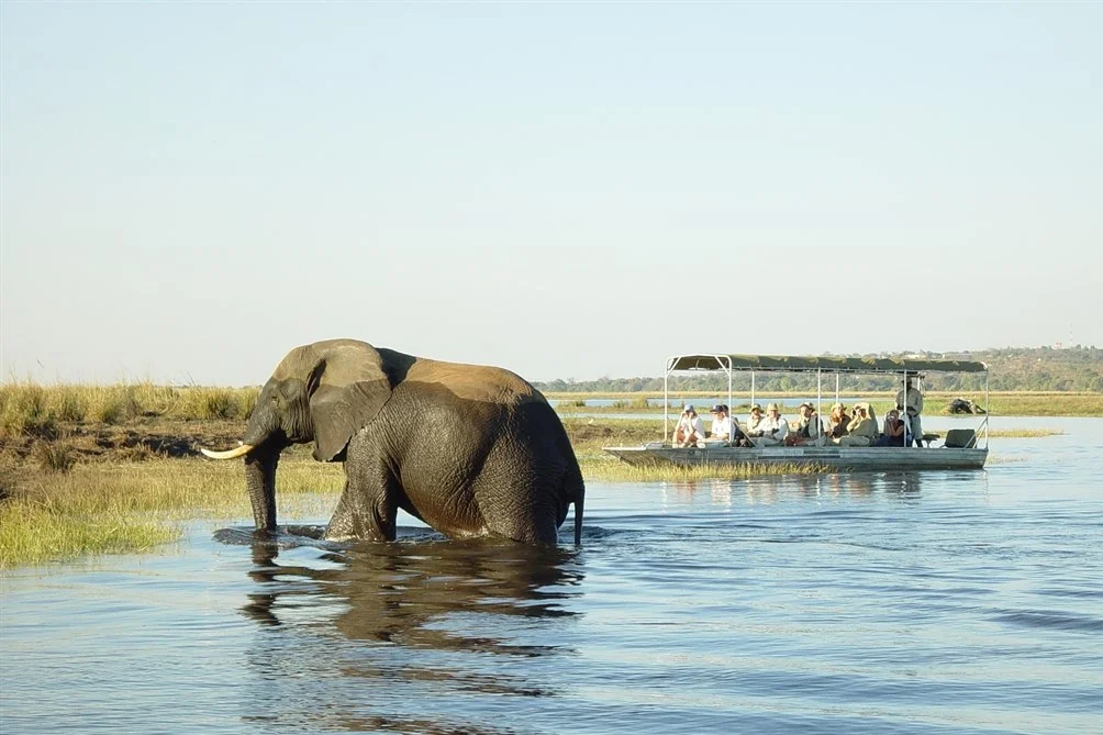 africa safari chobe 9.jpg