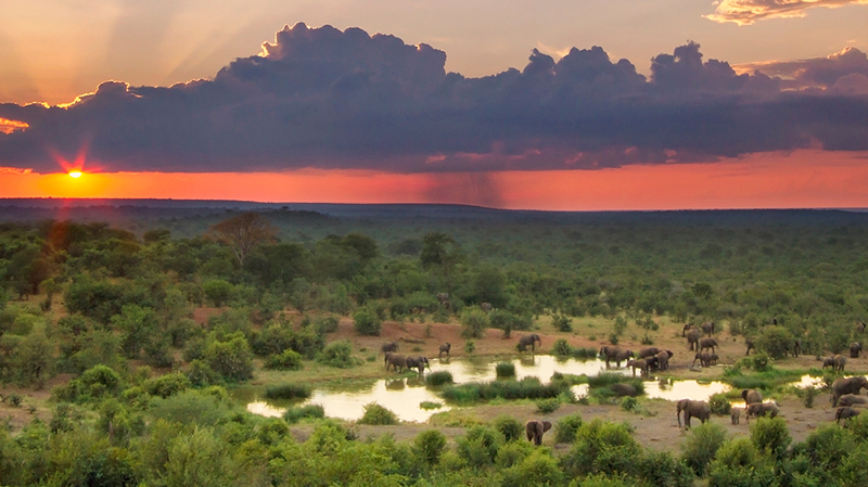 africa safari Vic falls accommodation121.jpg