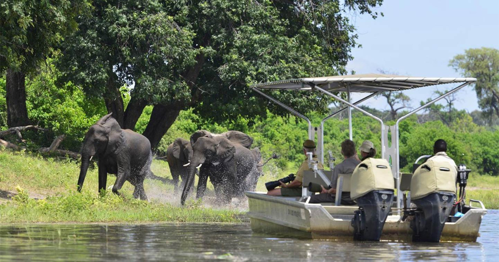 chobe35.jpg