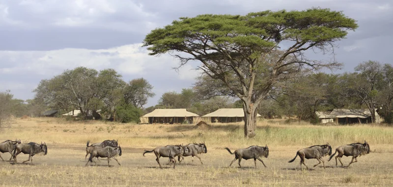 Kenya30.jpg