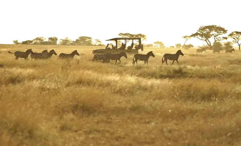 Kenya25.jpg