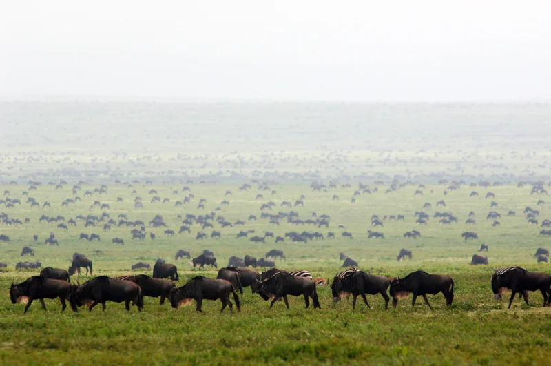 Kenya19.jpg