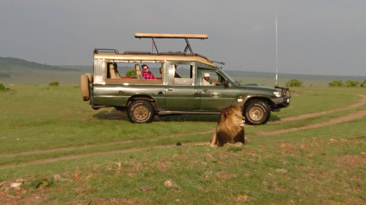 safari_i1.jpg