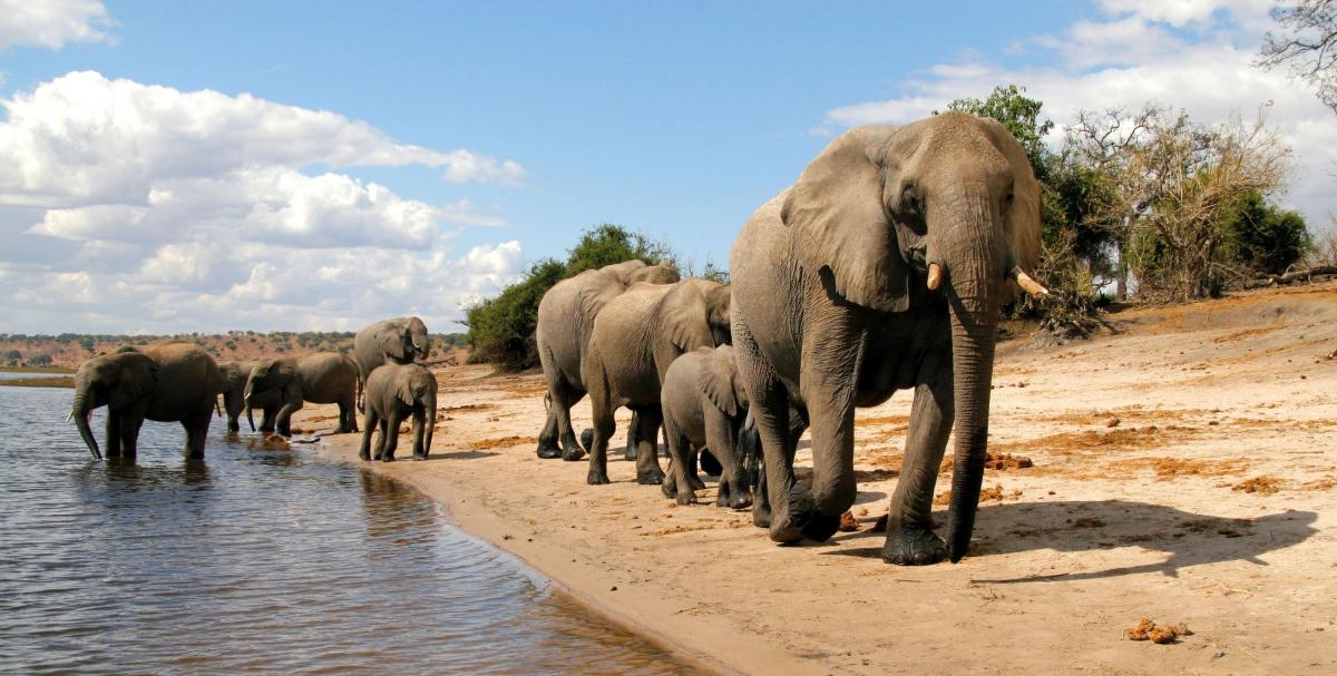 africa safari 9.jpg