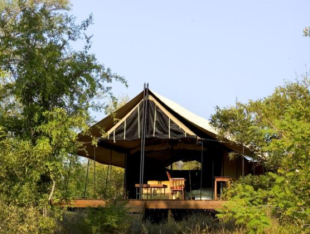 Kruger0516.jpg