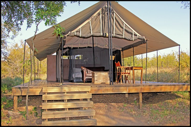 Kruger051.jpg