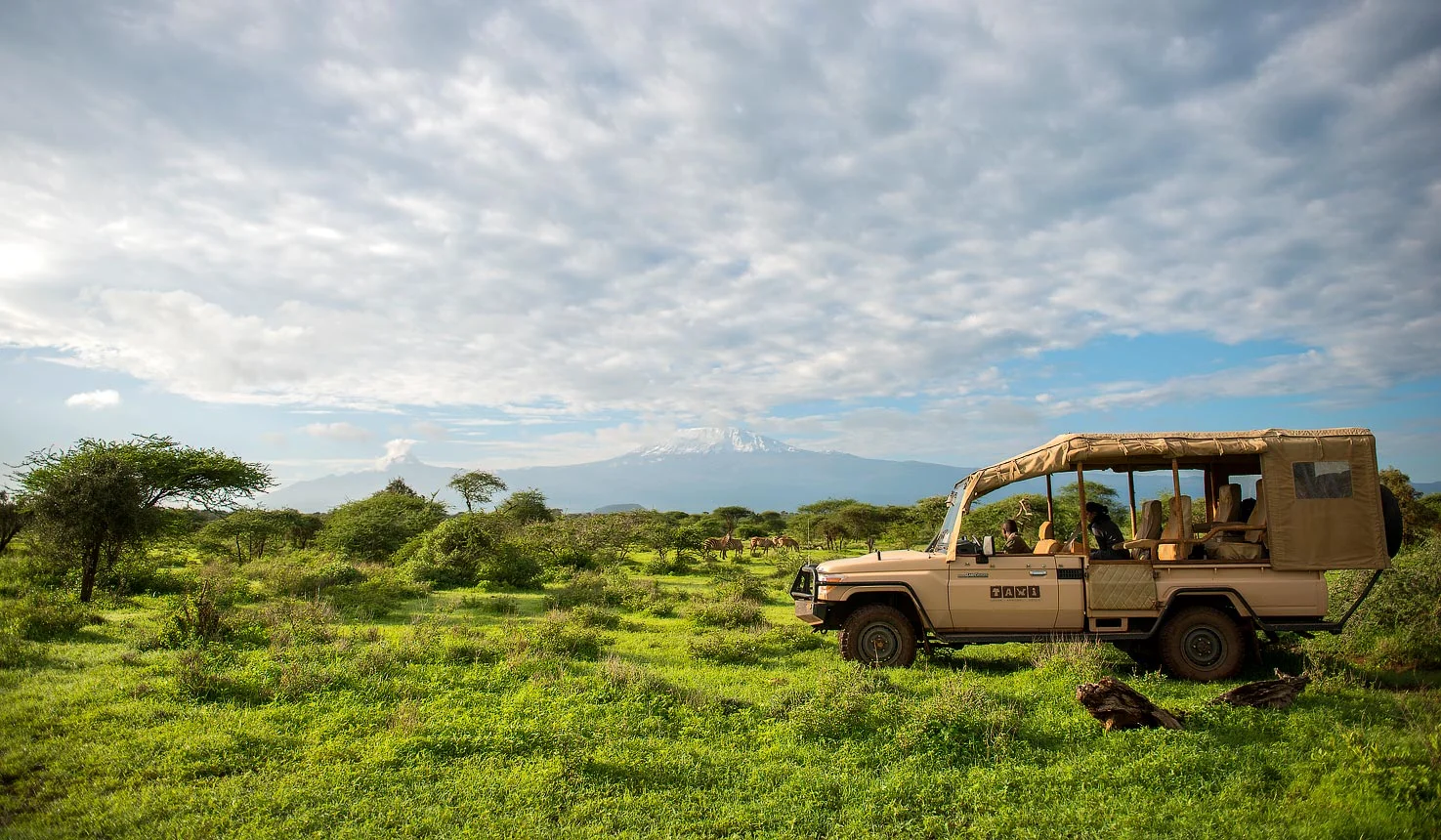 Amboseli16.jpg