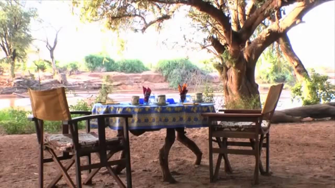 Elephant_Watch8.jpg