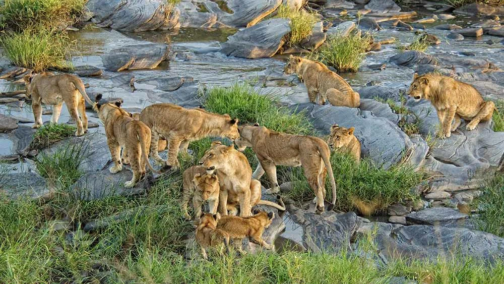 masai20.jpg