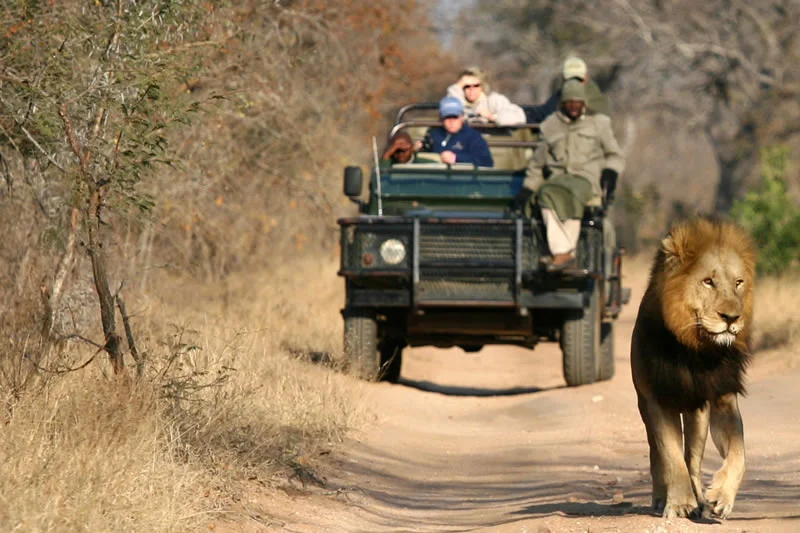Africa_Photo_Safari_2.jpg