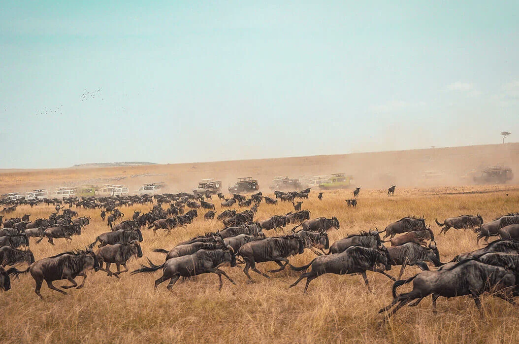 Kenya8.jpg