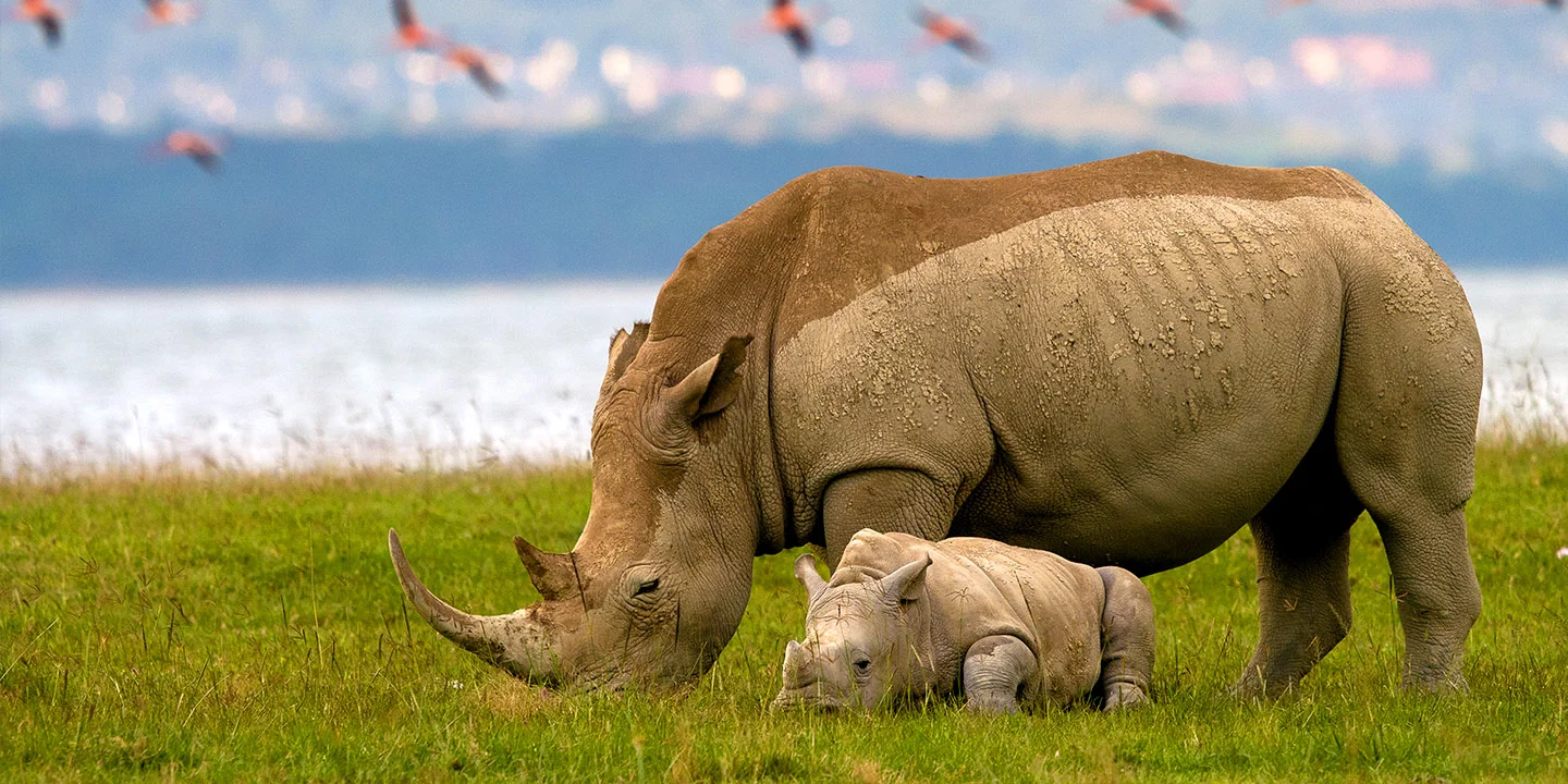Kenya9.jpg