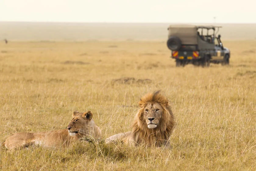 Kenya3.jpg