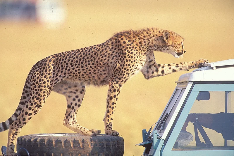 Kenya4.jpg