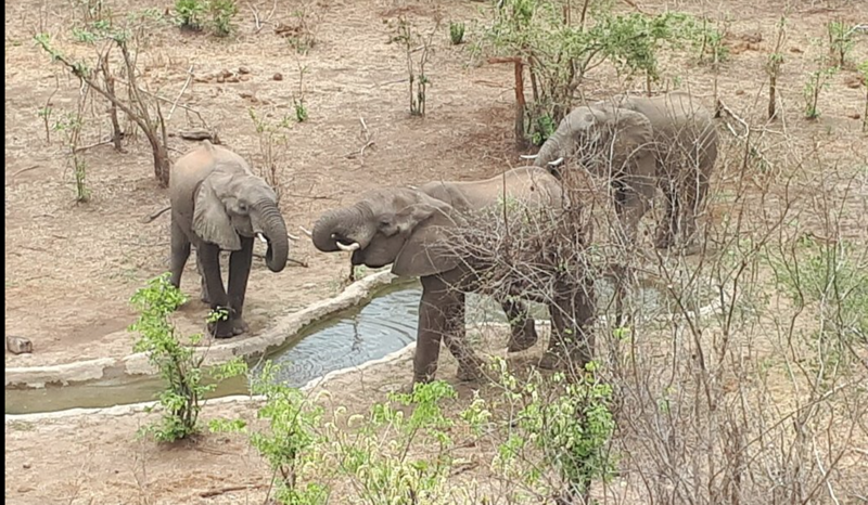 vicfalls3.png