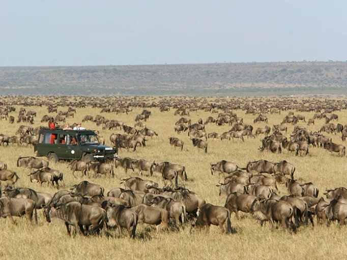 kenya12.jpg