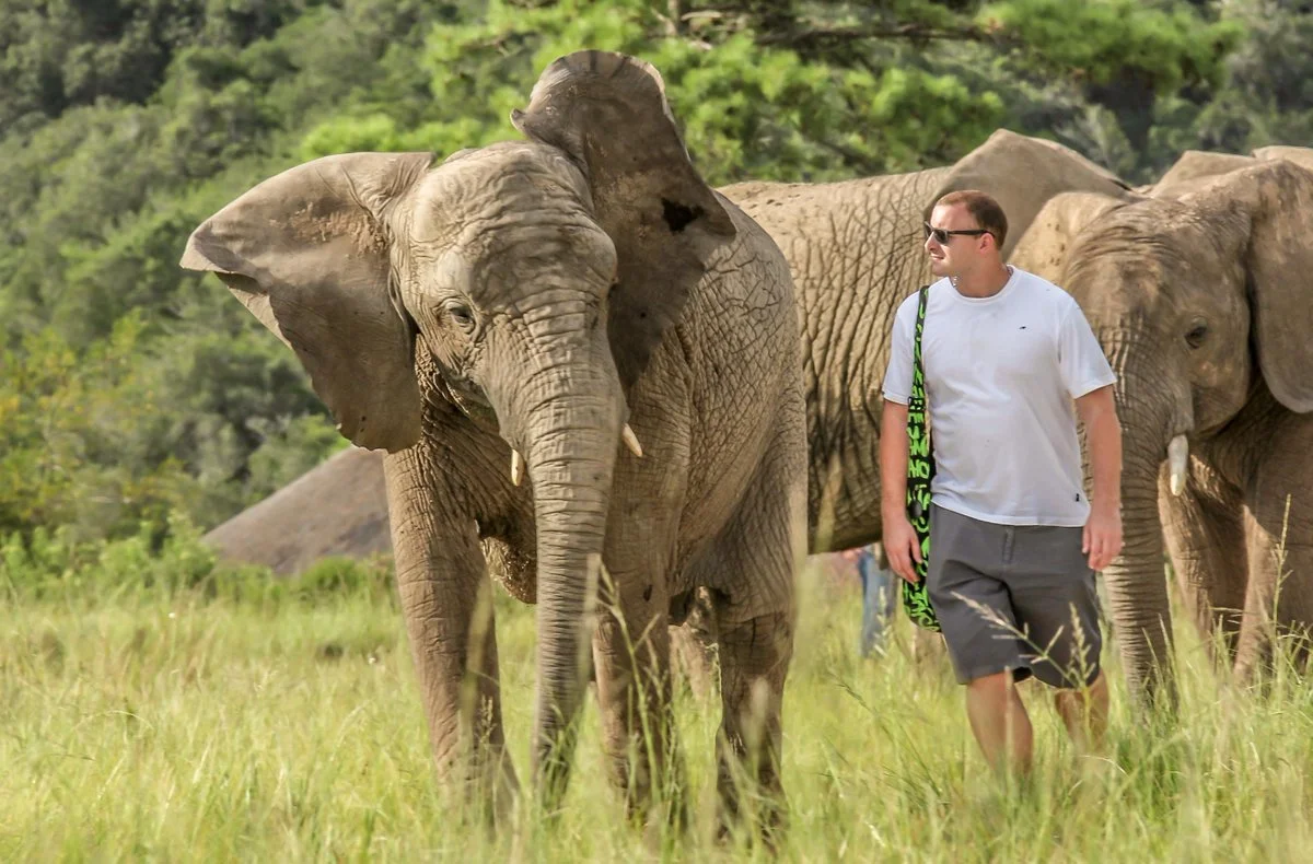Knysna Elephants5.jpg