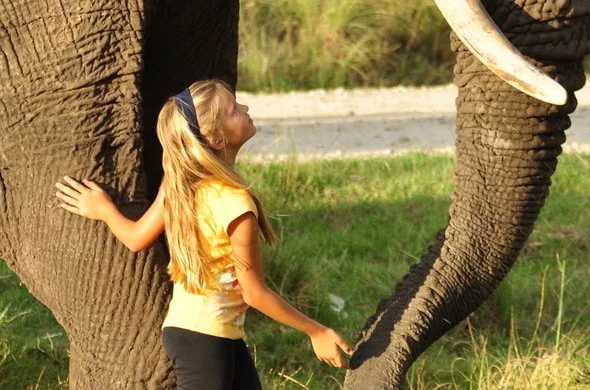 Knysna Elephants7.jpg