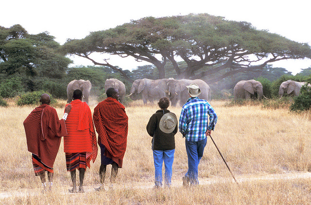 camels19.jpg