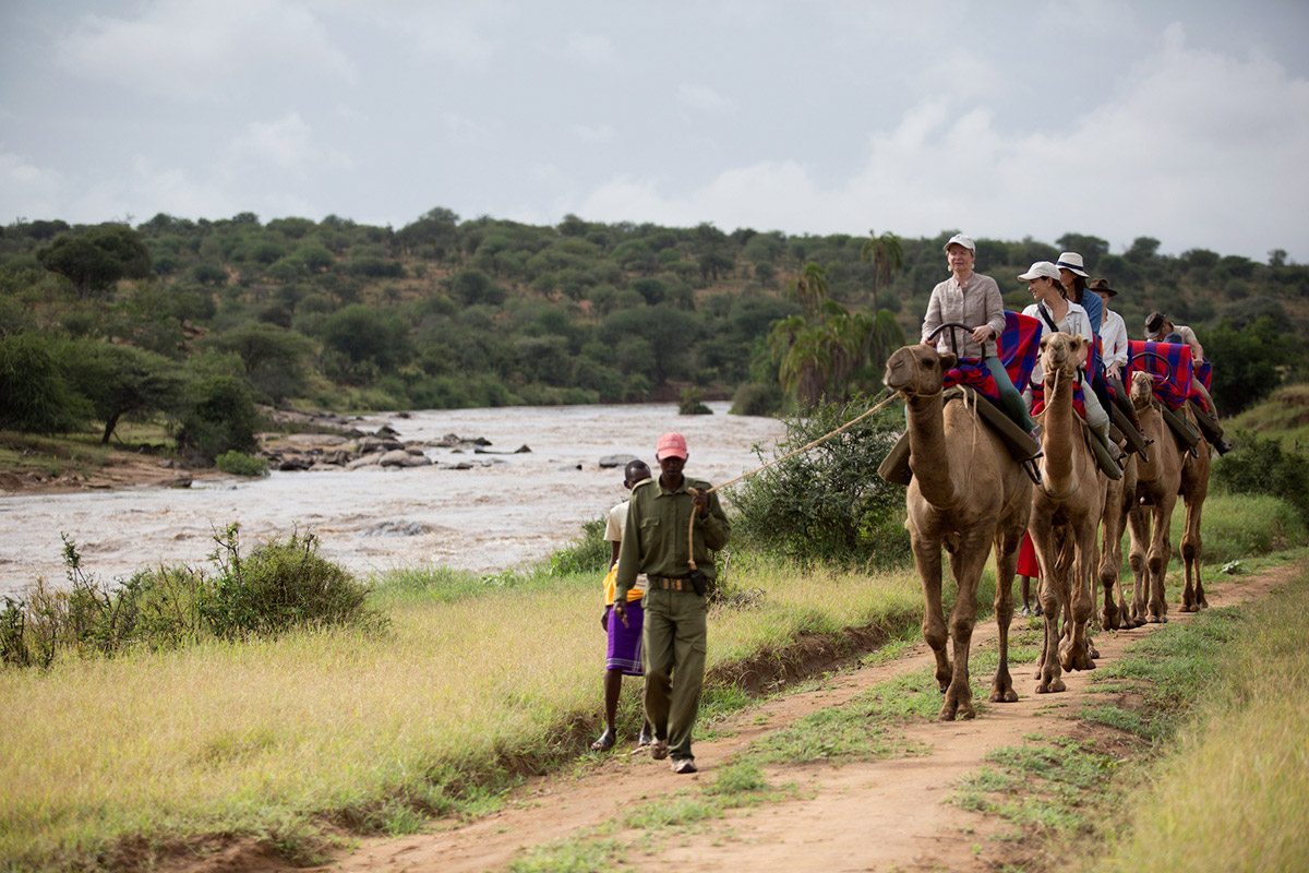 camels15.jpg
