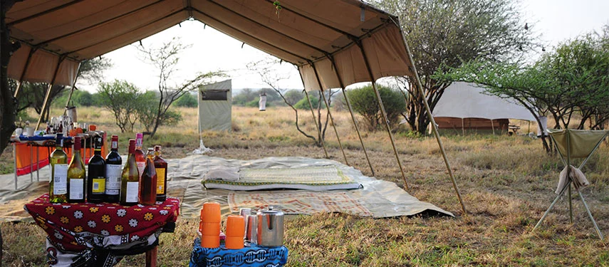 tent2.jpg